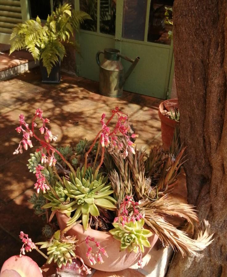 La Maison Hilarion Correns Exterior foto